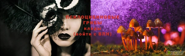 ПСИЛОЦИБИНОВЫЕ ГРИБЫ Зеленокумск