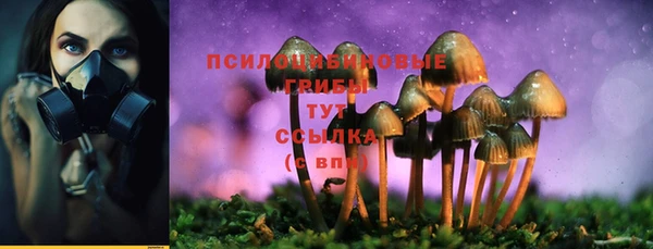 спайс Зерноград