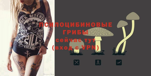 спайс Зерноград