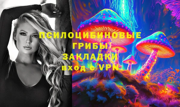 ПСИЛОЦИБИНОВЫЕ ГРИБЫ Зеленокумск